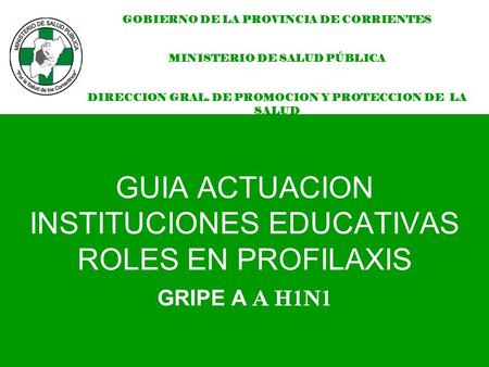 GUIA ACTUACION INSTITUCIONES EDUCATIVAS ROLES EN PROFILAXIS GRIPE A A H1N1 GOBIERNO DE LA PROVINCIA DE CORRIENTES MINISTERIO DE SALUD PÚBLICA DIRECCION.