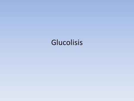 Glucolisis.