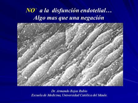 NO . a la disfunción endotelial… Algo mas que una negación