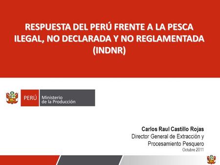 Carlos Raul Castillo Rojas Director General de Extracción y