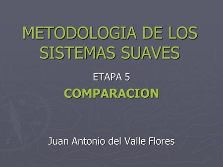 METODOLOGIA DE LOS SISTEMAS SUAVES
