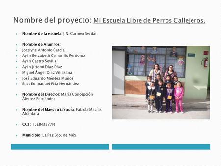 Nombre del proyecto: Mi Escuela Libre de Perros Callejeros.
