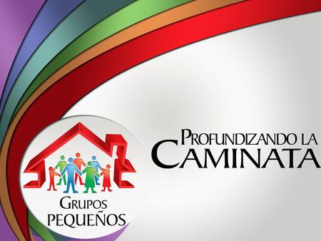 EXPERIENCIAS PREVIAS La implementación de los Grupos Pequeños con grandes resultados en distintos lugares de Sudamérica hicieron que muchos territorios.