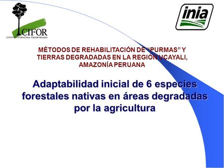 MÉTODOS DE REHABILITACIÓN DE “PURMAS” Y TIERRAS DEGRADADAS EN LA REGIÓN UCAYALI, AMAZONÍA PERUANA Adaptabilidad inicial de 6 especies forestales nativas.