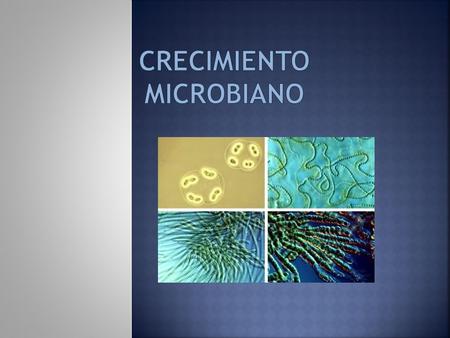 CRECIMIENTO MICROBIANO