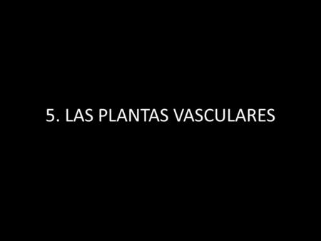 5. LAS PLANTAS VASCULARES