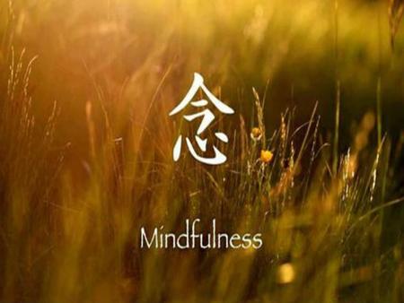 mindfulness Cra de Becilla de Valderaduey Noviembre de 2014