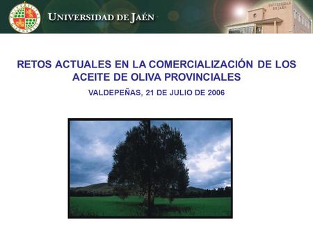 RETOS ACTUALES EN LA COMERCIALIZACIÓN DE LOS ACEITE DE OLIVA PROVINCIALES VALDEPEÑAS, 21 DE JULIO DE 2006.