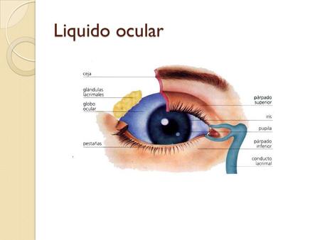 Liquido ocular.