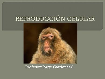 Profesor: Jorge Cárdenas S..  REPRODUCCIÓN: Característica de todos los seres vivos, lo que permite perpetuar la especie.  OTRAS CARACTERISTICAS DE.