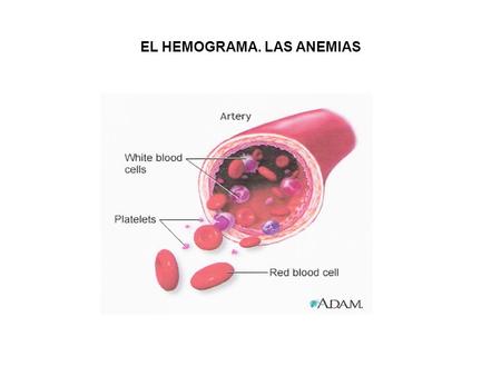 EL HEMOGRAMA. LAS ANEMIAS
