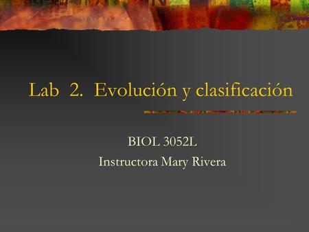 Lab 2. Evolución y clasificación
