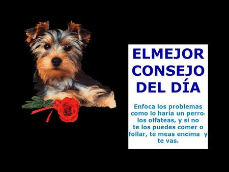 ELMEJOR CONSEJO DEL DÍA
