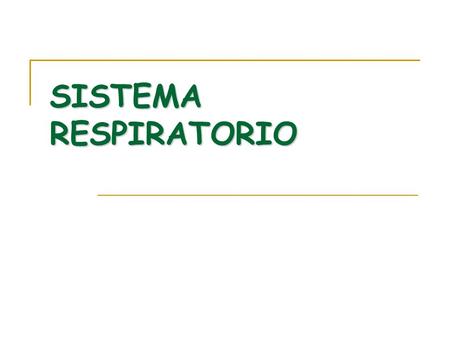 SISTEMA RESPIRATORIO.