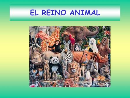 EL REINO ANIMAL.