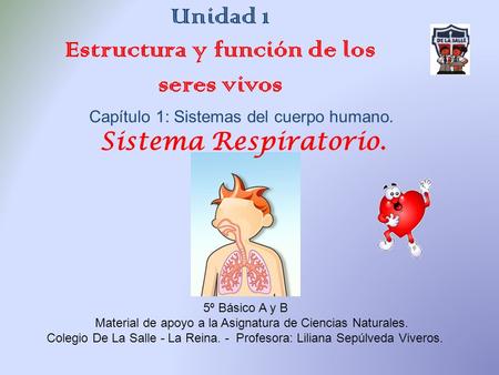 Sistema Respiratorio. 5º Básico A y B