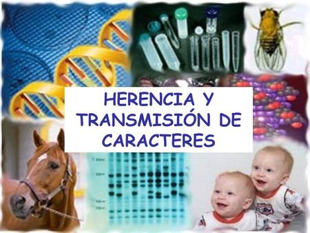 HERENCIA Y TRANSMISIÓN DE CARACTERES
