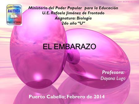 EL EMBARAZO Profesora: Dayana Lugo Puerto Cabello; Febrero de 2014