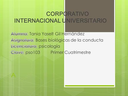 CORPORATIVO INTERNACIONAL UNIVERSITARIO