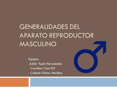 Generalidades del aparato reproductor masculino