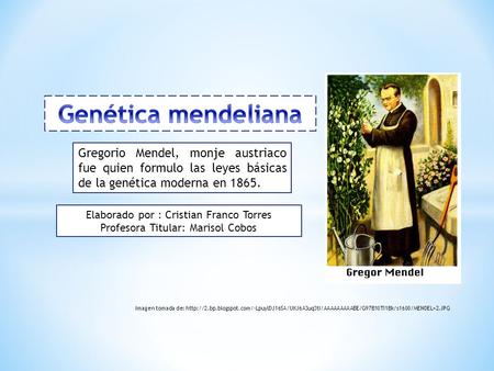 Genética mendeliana Gregorio Mendel, monje austriaco fue quien formulo las leyes básicas de la genética moderna en 1865. Elaborado por : Cristian Franco.