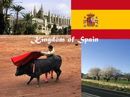 Kingdom of Spain. Capital: Madrid Language: Spanish Currency: euro Area: 506 000 km 2 Population: 40 million Important information about Spain.
