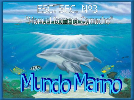 ESC. SEC. Nº3 Manuel Romero Camacho Mundo Marino.