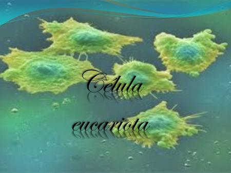 Célula eucariota.