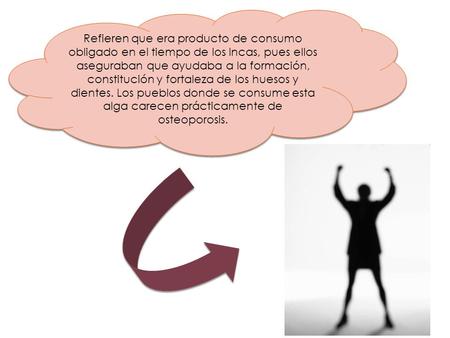 Refieren que era producto de consumo obligado en el tiempo de los Incas, pues ellos aseguraban que ayudaba a la formación, constitución y fortaleza de.
