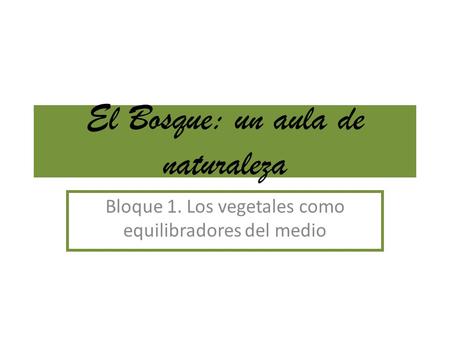 El Bosque: un aula de naturaleza