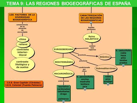 TEMA 9: LAS REGIONES BIOGEOGRÁFICAS DE ESPAÑA