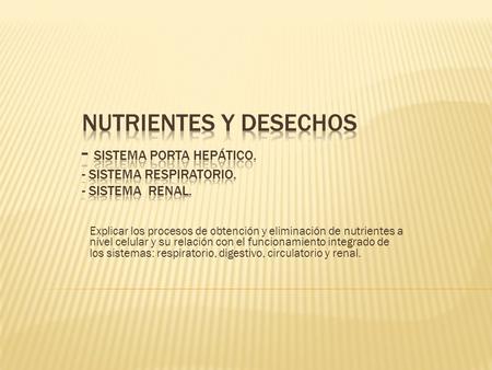 Nutrientes y desechos - Sistema Porta hepático. - Sistema respiratorio