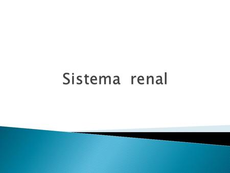 Sistema renal.