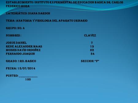 ESTABLECIMIENTO: INSTITUTO EXPERIMENTAL DE EDUCACION BASICA Dr