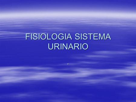 FISIOLOGIA SISTEMA URINARIO