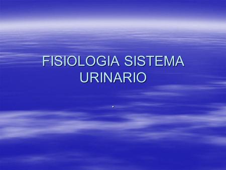 FISIOLOGIA SISTEMA URINARIO