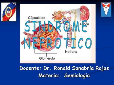 Docente: Dr. Ronald Sanabria Rojas Materia: Semiologia