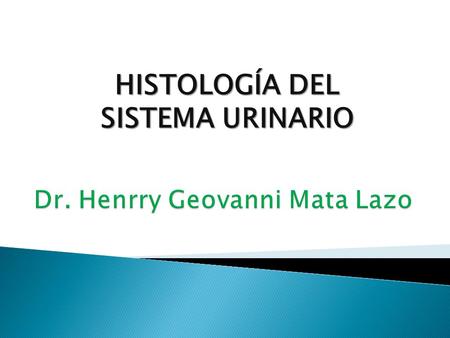 Dr. Henrry Geovanni Mata Lazo