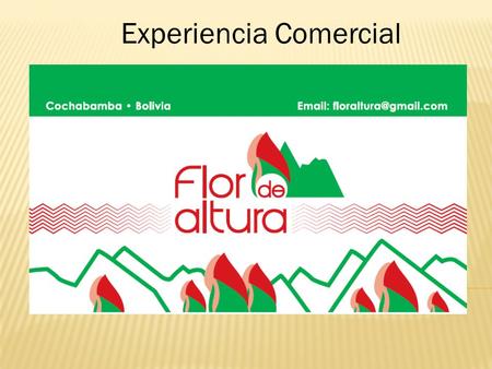 Experiencia Comercial