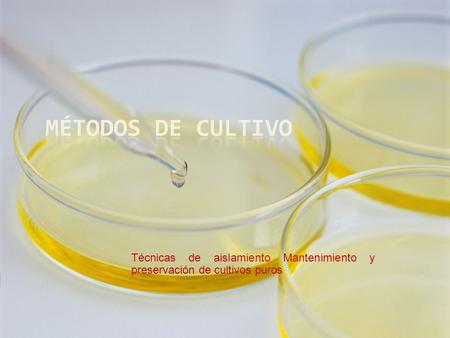 Métodos de cultivo Técnicas de aislamiento Mantenimiento y preservación de cultivos puros.