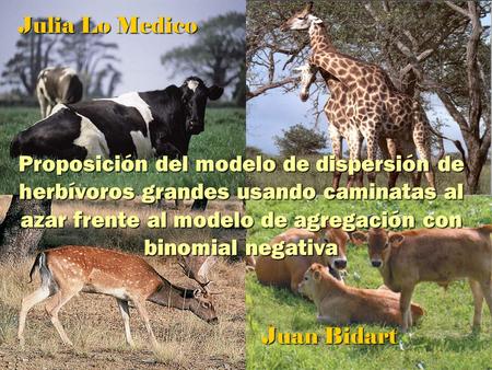 Proposición del modelo de dispersión de herbívoros grandes usando caminatas al azar frente al modelo de agregación con binomial negativa Julia Lo Medico.