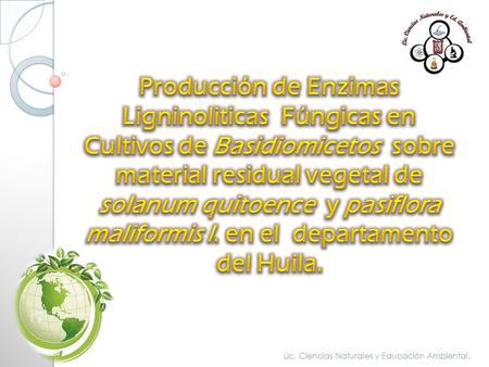 Lic. Ciencias Naturales y Educación Ambiental.. Investigador Integrante semillero de investigación VIRHOBAC.