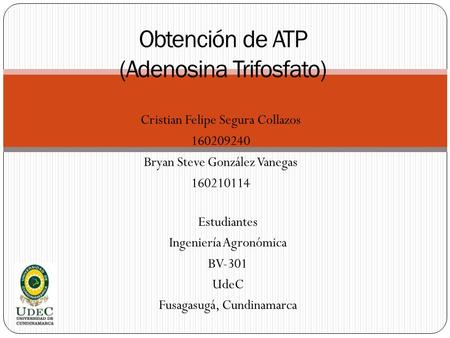 Obtención de ATP (Adenosina Trifosfato)