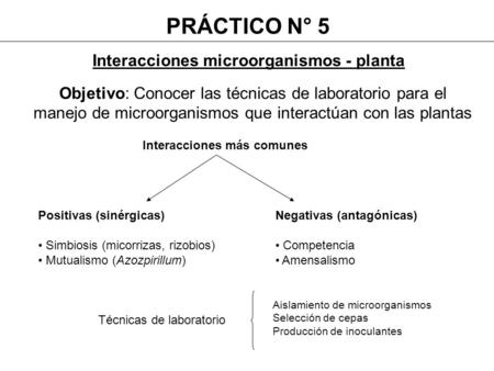 PRÁCTICO N° 5 Interacciones microorganismos - planta