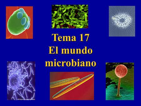 Tema 17 El mundo microbiano !.