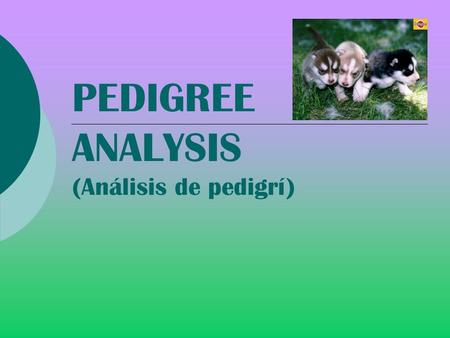 PEDIGREE ANALYSIS (Análisis de pedigrí)