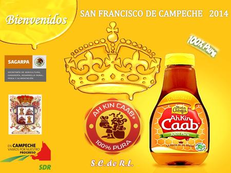 SAN FRANCISCO DE CAMPECHE 2014