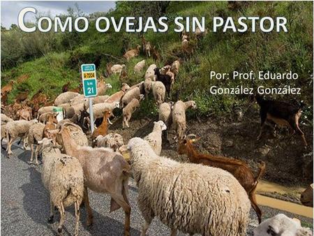 Por: Prof. Eduardo González González. Pensamiento Inicial : “Entonces Micaías dijo: He visto a todo Israel derramado por los montes como ovejas sin pastor…”