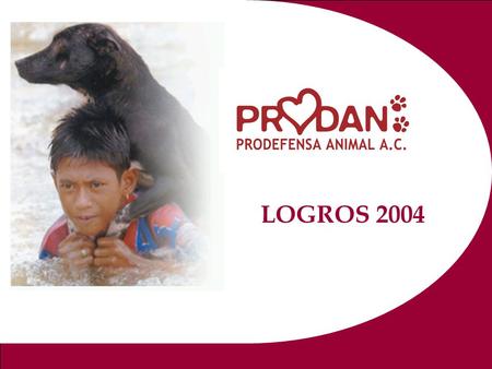 LOGROS 2004. Diciembre 2004 Informe Anual PRODAN LLogros 2004 MMensaje de la Presidenta IImágenes de nosotros… VVideo Institucional BBrindis.