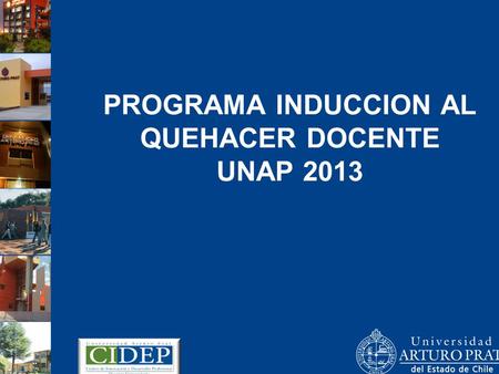 PROGRAMA INDUCCION AL QUEHACER DOCENTE UNAP 2013.